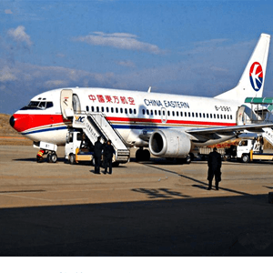 阿坝红原航空托运航空快运业稳步发展的原因是什么？